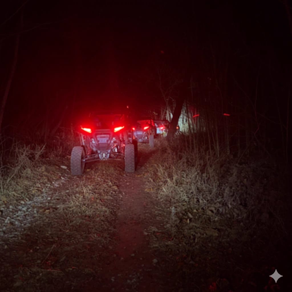 Trail at night
